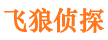 隆回市调查公司